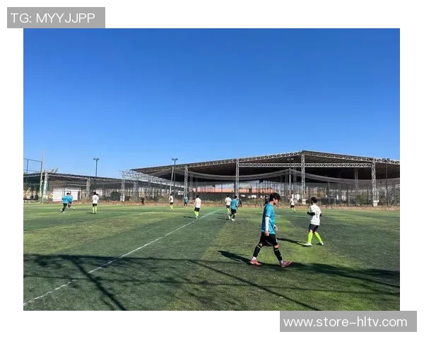 广东省足球训练基地助力青少年足球发展与人才培养新模式探索